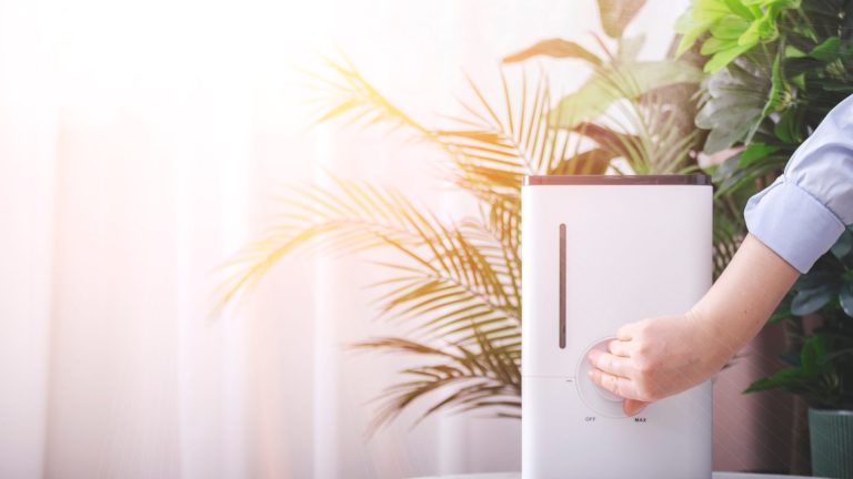 Image of air purifier in home with sunbeam