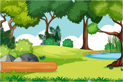 Forest District