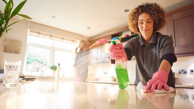 Image of house cleaner