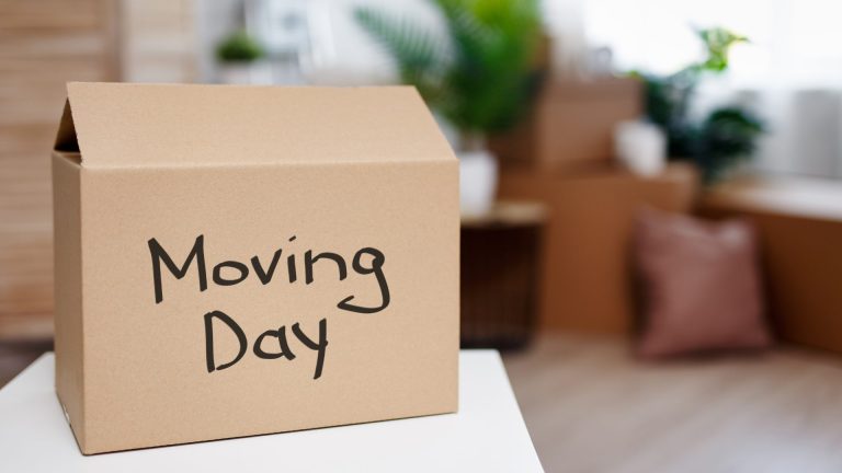 Image of box labelled moving day