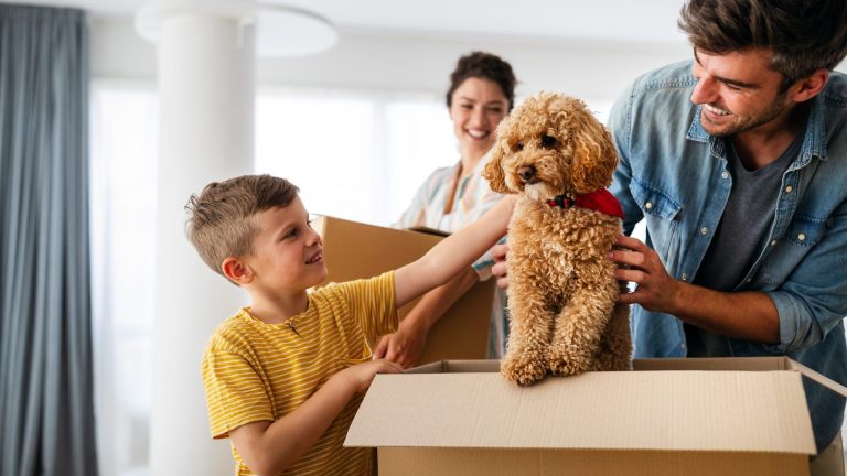 Picture of dog and family with box