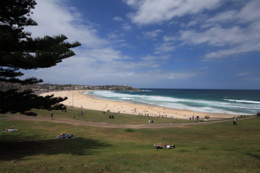 Bondi Beach
